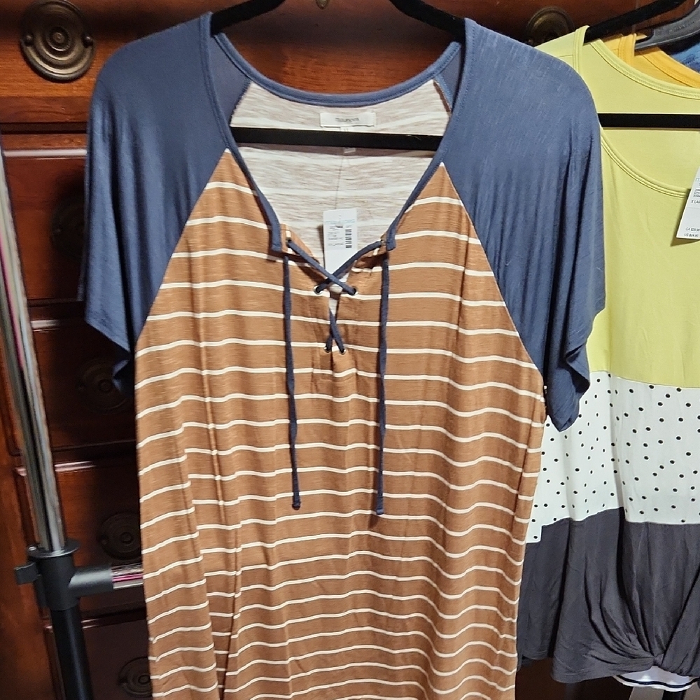 Casual Blue and Brown Striped Women's Top